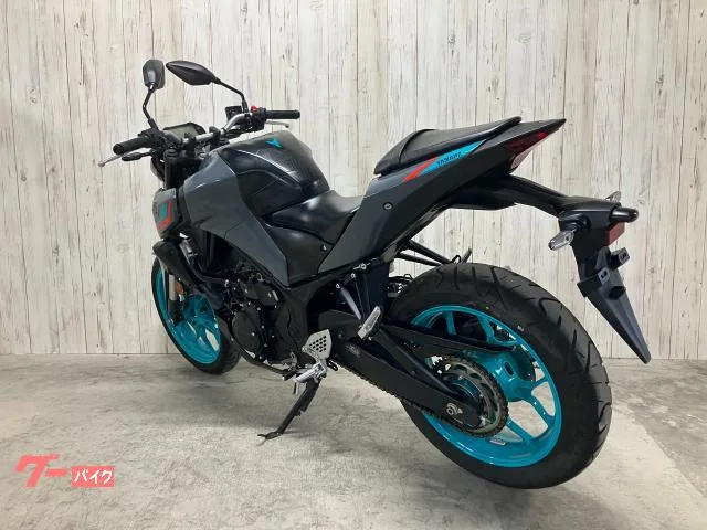 Yamaha MT-25 RG74J 2022 — миниатюра 5
