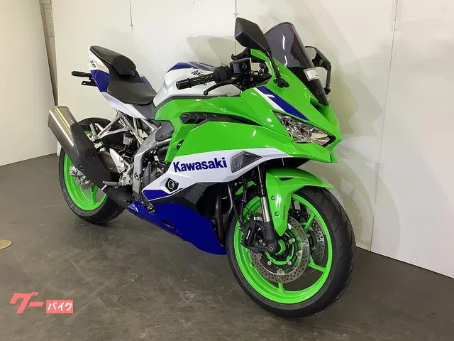 Kawasaki Ninja ZX-4RR 2024 — миниатюра 5