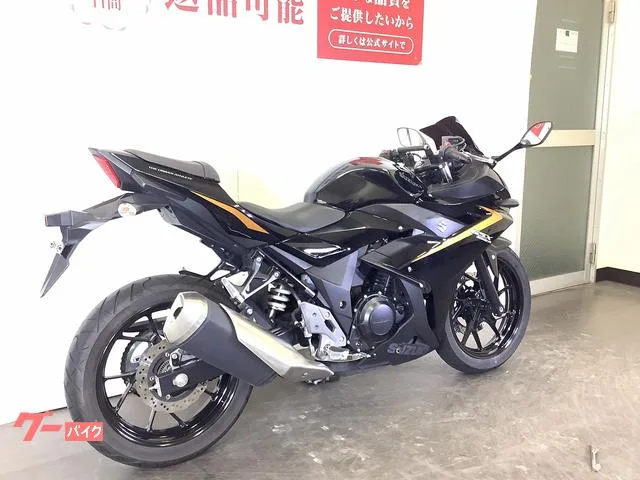 Suzuki GSX250R 2024 2024 — миниатюра 3