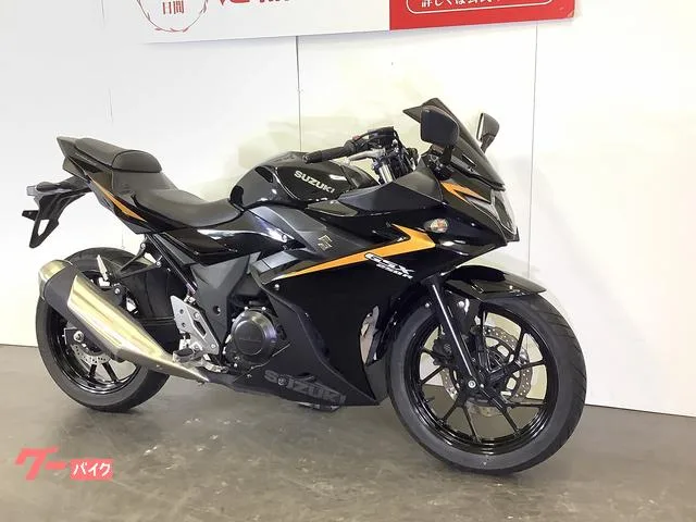 Suzuki GSX250R 2024 2024 — миниатюра 5