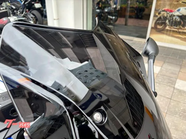 BMW R1250RS BMW 2022 — миниатюра 5