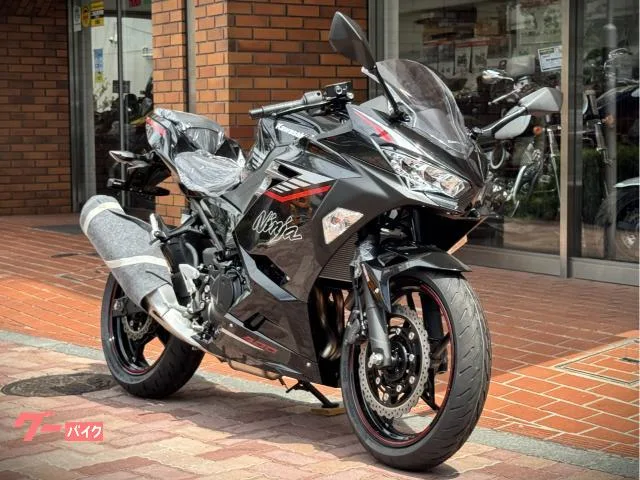 Kawasaki Ninja 400 2025 — миниатюра 2