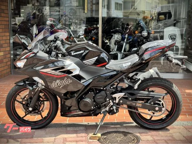 Kawasaki Ninja 400 2025 — миниатюра 4