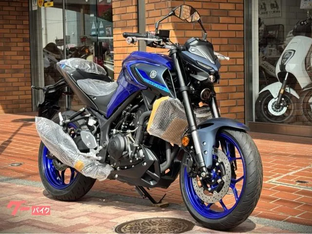 Yamaha MT-03(320cc) 2024 — миниатюра 2