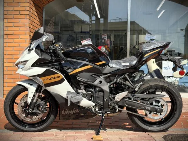 Kawasaki Ninja ZX-4R SE 26 2026 — миниатюра 4