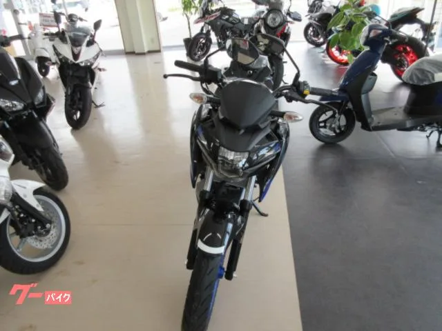 Suzuki GSX-S125 2023 — миниатюра 2