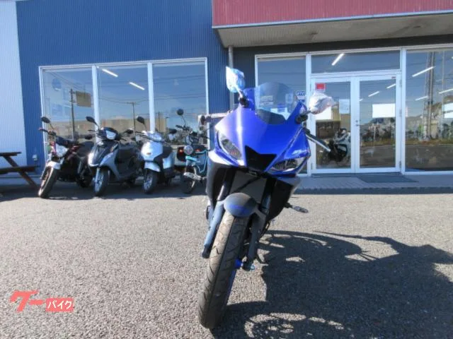 Yamaha YZF-R25 2022 — миниатюра 2