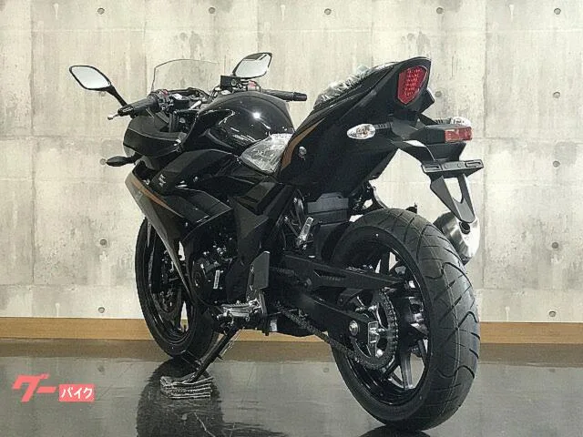 Suzuki GSX250R 2023 — миниатюра 4