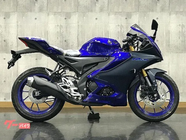 Yamaha YZF-R15 2023 — миниатюра 2