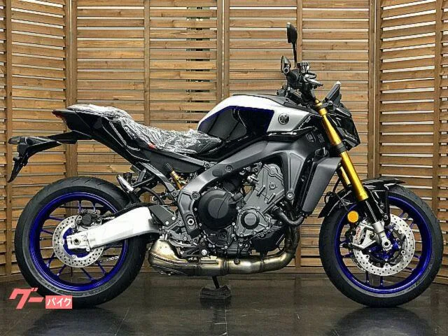 Yamaha MT-09 SP 2024 — миниатюра 2