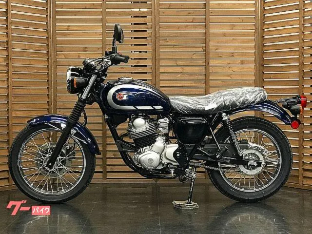 Kawasaki W230 2025 — миниатюра 5
