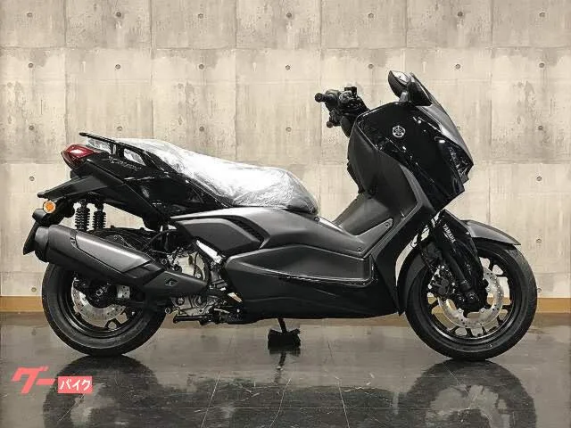 Yamaha X-MAX250 2025 — миниатюра 2