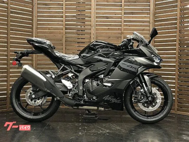Kawasaki Ninja ZX-4R SE 2026 — миниатюра 2