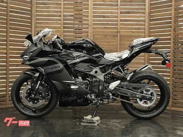 Kawasaki Ninja ZX-4R SE 2026 — миниатюра 3