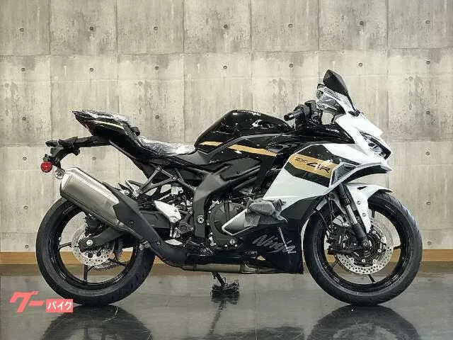 Kawasaki Ninja ZX-4R SE 2026 — миниатюра 2