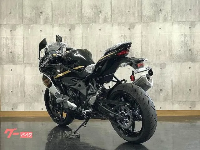 Kawasaki Ninja ZX-4R SE 2026 — миниатюра 5