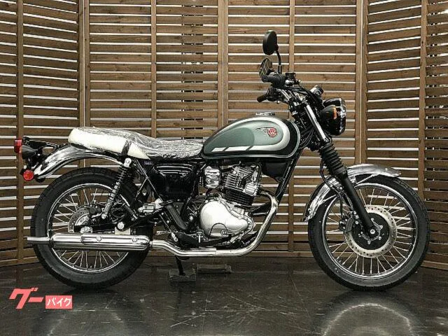 Kawasaki W230 2026 — миниатюра 2