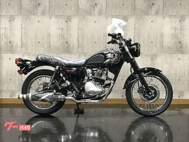Kawasaki S1 2025 2025 — миниатюра 2