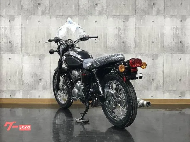 Kawasaki S1 2025 2025 — миниатюра 5