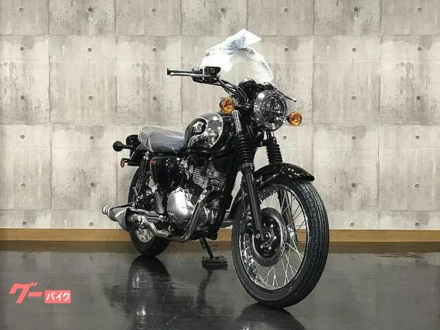 Kawasaki S1 2025 2025 — миниатюра 3