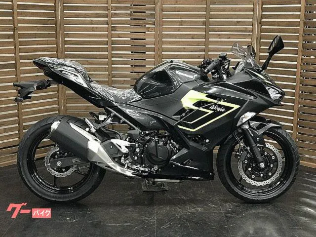 Kawasaki Ninja 250 2026 — миниатюра 2