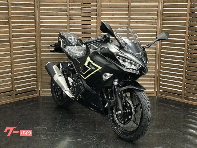 Kawasaki Ninja 250 2026 — миниатюра 3