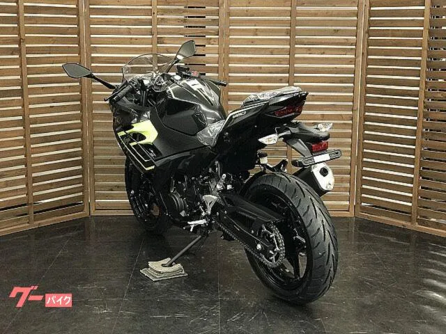 Kawasaki Ninja 250 2026 — миниатюра 5