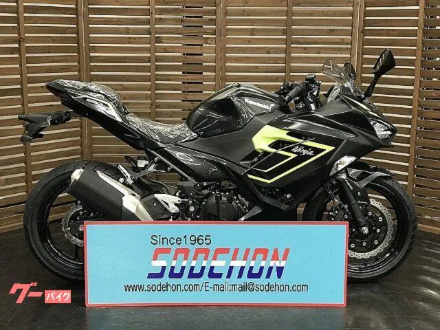 Kawasaki Ninja 250 2026 — фото 1, купить с доставкой в Москву