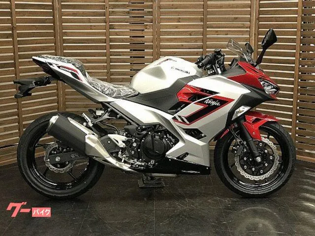 Kawasaki Ninja 250 2026 — миниатюра 2