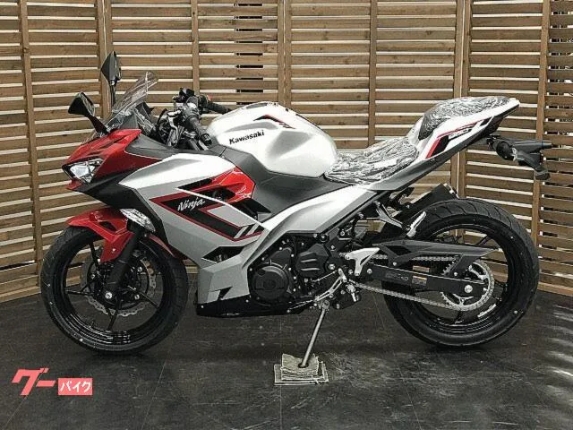 Kawasaki Ninja 250 2026 — миниатюра 3