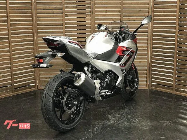 Kawasaki Ninja 250 2026 — миниатюра 4