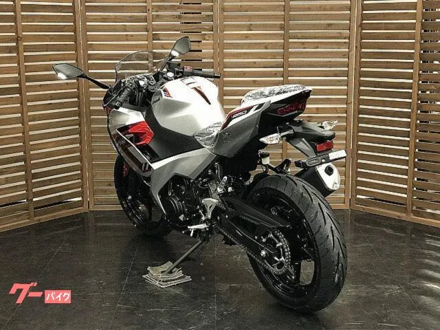 Kawasaki Ninja 250 2026 — миниатюра 5