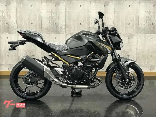 Kawasaki Z400 2026 — миниатюра 2