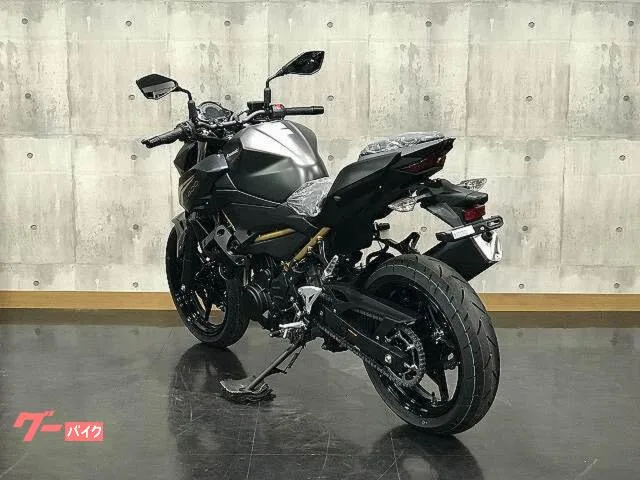Kawasaki Z400 2026 — миниатюра 5
