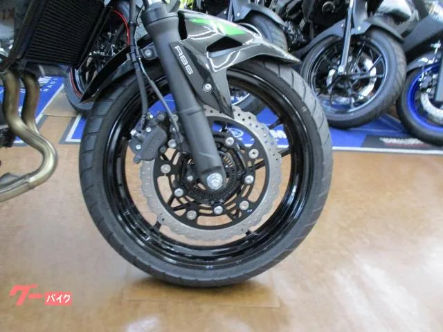 Kawasaki Z250 2023 — миниатюра 2