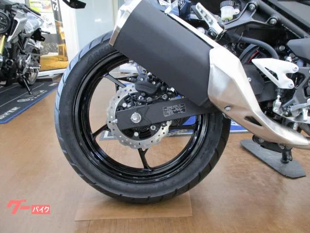 Kawasaki Z250 2023 — миниатюра 4