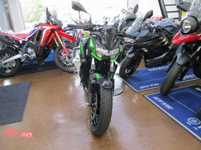 Kawasaki Z250 2023 — миниатюра 5