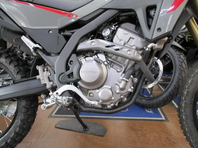 Honda CRF250L 2025 2025 — миниатюра 4