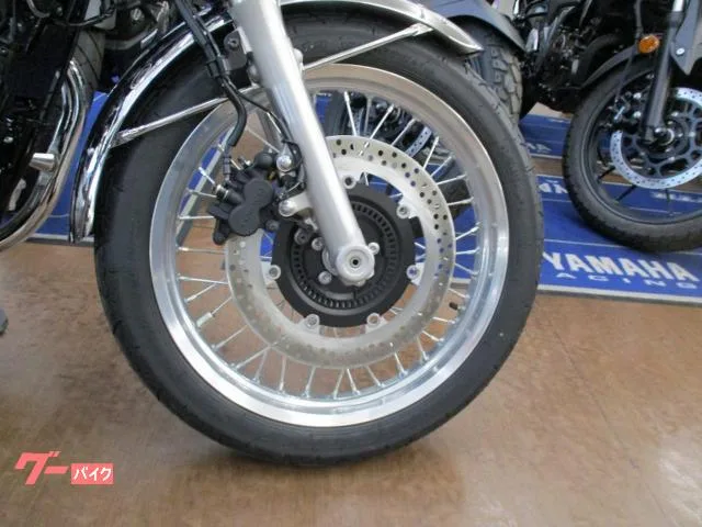 Kawasaki W800 2025 — миниатюра 2