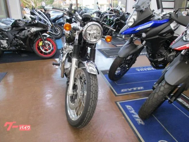 Kawasaki W800 2025 — миниатюра 3