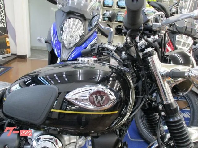 Kawasaki W800 2025 — миниатюра 4