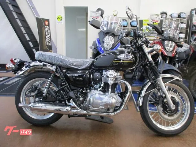 Kawasaki W800 2025 — фото 1, купить с доставкой в Москву