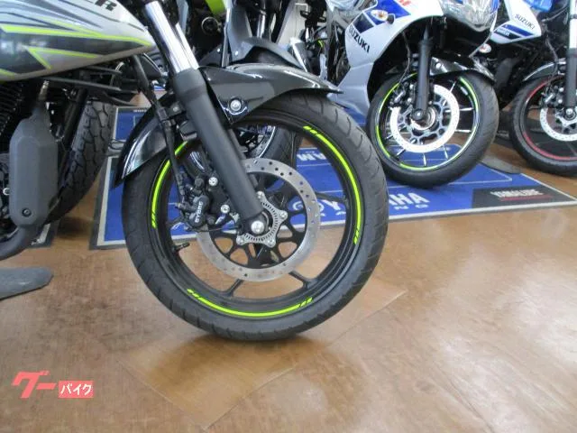 Suzuki GIXXER 150 2025 2025 — миниатюра 2