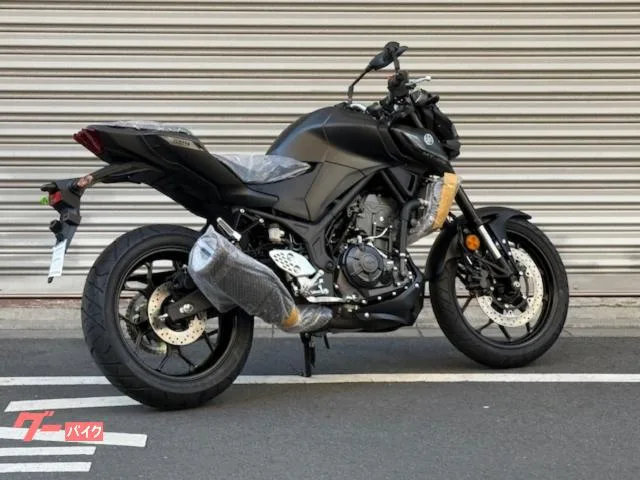 Yamaha MT-25 Y-Connect 2025 — миниатюра 4