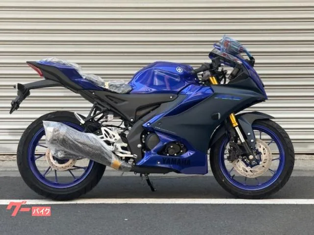 Yamaha YZF-R15 2023 — миниатюра 2