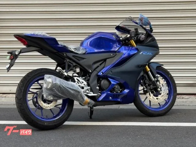 Yamaha YZF-R15 2023 — миниатюра 3