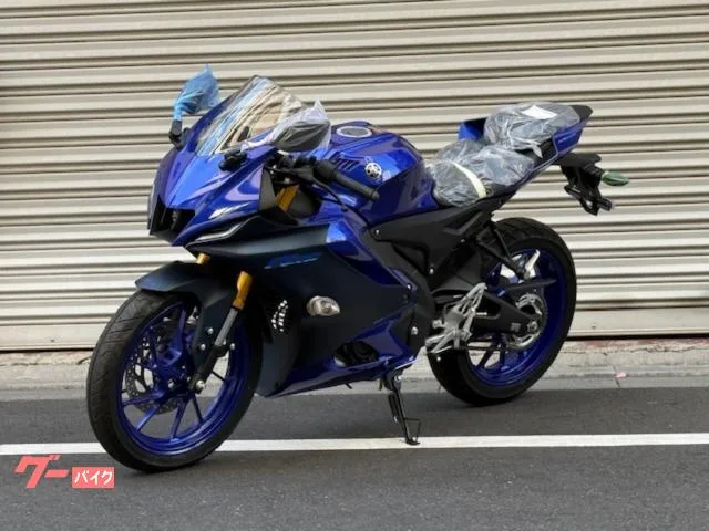 Yamaha YZF-R15 2023 — миниатюра 5