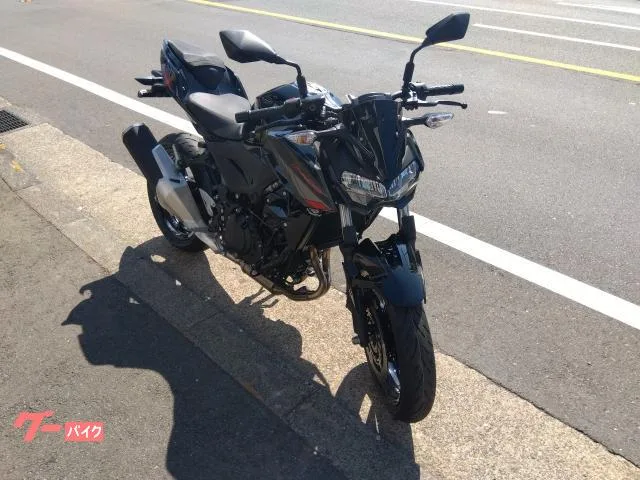 Kawasaki Z400 2024 — миниатюра 2
