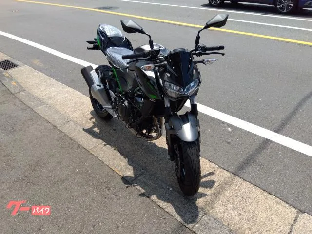 Kawasaki Z250 2024 — миниатюра 2