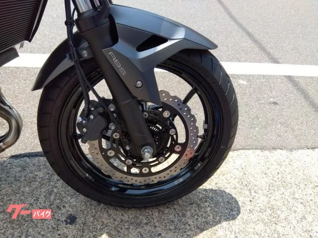 Kawasaki Z250 2024 — миниатюра 3